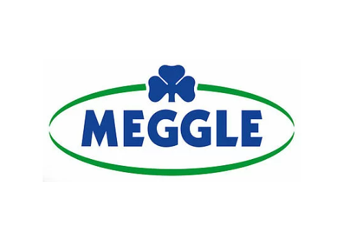 Logo_Meggle